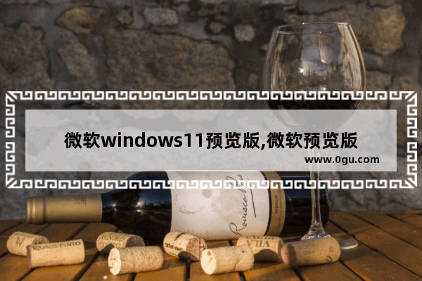 微软windows11预览版,微软预览版