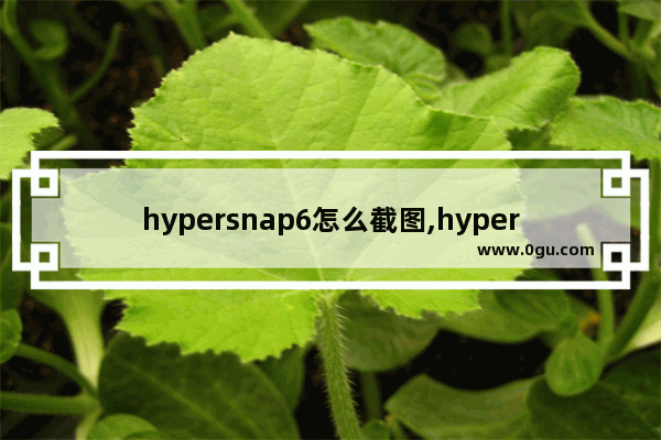 hypersnap6怎么截图,hypersnap怎么截长图