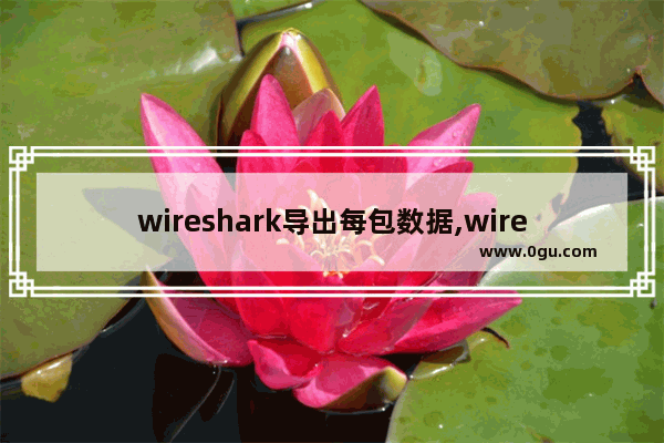 wireshark导出每包数据,wireshark导出文件