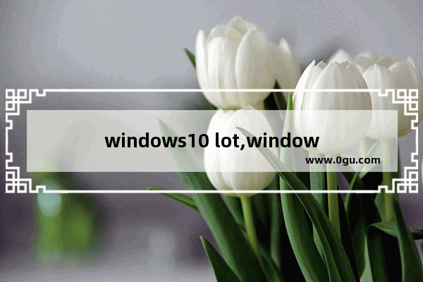 windows10 lot,window10 lot