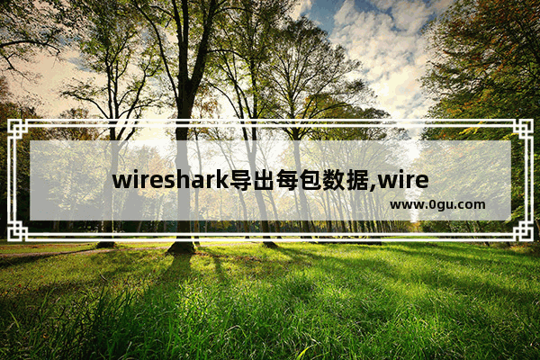 wireshark导出每包数据,wireshark导出文件