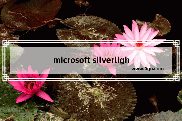 microsoft silverlight是什么程序,Microsoft Silverlight