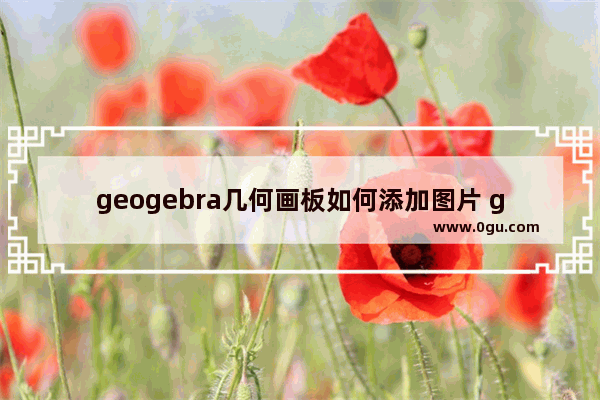 geogebra几何画板如何添加图片 geogebra几何画板添加图片的方法