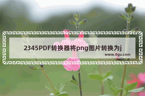 2345PDF转换器将png图片转换为jpg方法 2345PDF转换器如何将png图片转换为jpg