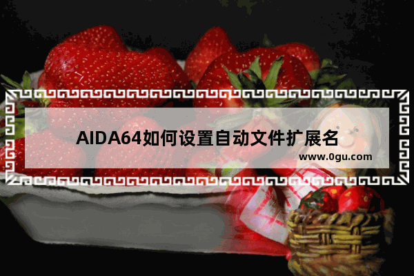 AIDA64如何设置自动文件扩展名