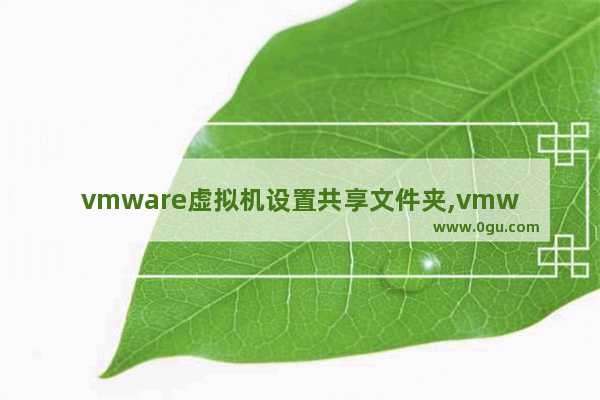 vmware虚拟机设置共享文件夹,vmware怎么共享文件