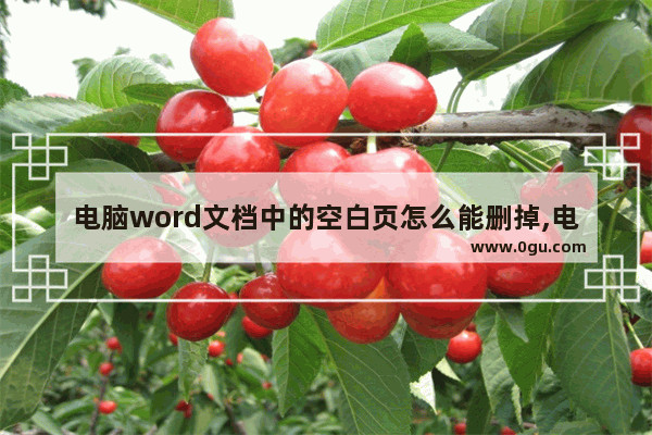 电脑word文档中的空白页怎么能删掉,电脑word文档怎样删除空白页