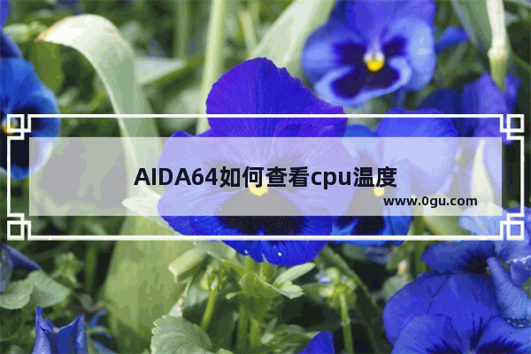 AIDA64如何查看cpu温度