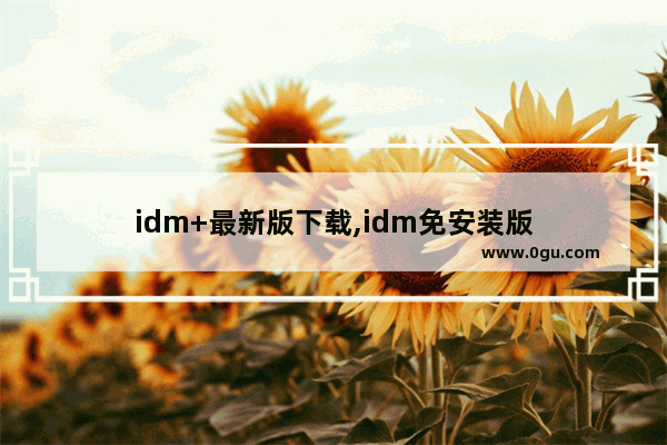 idm+最新版下载,idm免安装版