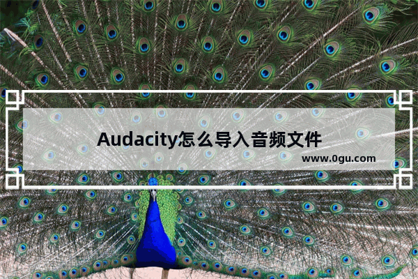 Audacity怎么导入音频文件