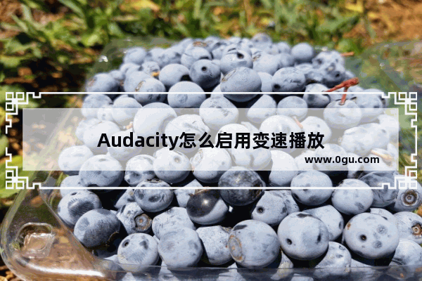 Audacity怎么启用变速播放