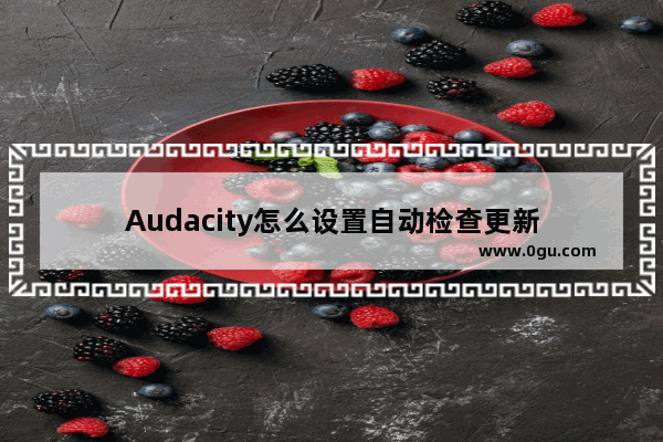 Audacity怎么设置自动检查更新