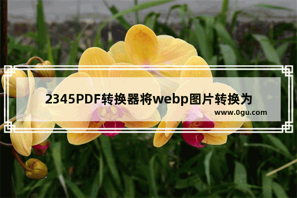 2345PDF转换器将webp图片转换为bmp方法 2345PDF转换器如何将webp图片转换为bmp