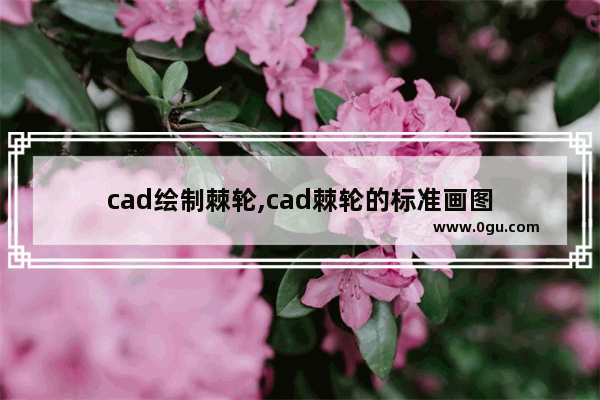 cad绘制棘轮,cad棘轮的标准画图