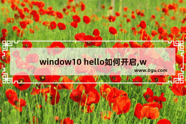 window10 hello如何开启,win10的windows hello怎么退出设置