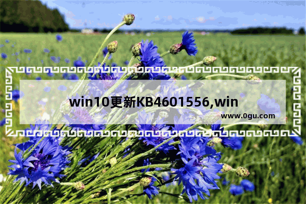 win10更新KB4601556,win10更新kb4601319