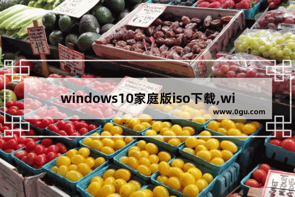 windows10家庭版iso下载,windows10家庭中文版版本号1903