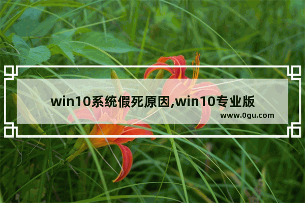 win10系统假死原因,win10专业版频繁假死