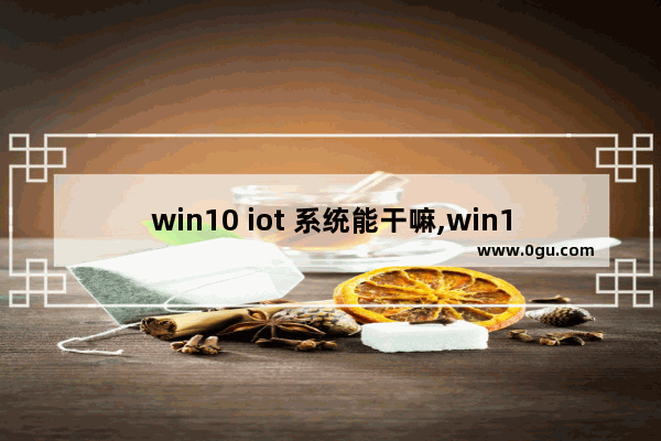 win10 iot 系统能干嘛,win10 Iot