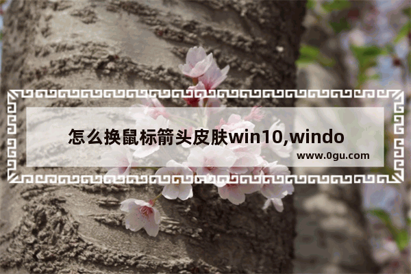 怎么换鼠标箭头皮肤win10,windows怎么改鼠标样式