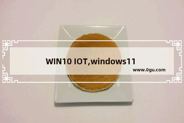 WIN10 IOT,windows11 iot