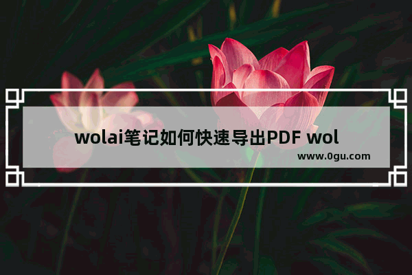 wolai笔记如何快速导出PDF wolai笔记快速导出PDF的方法