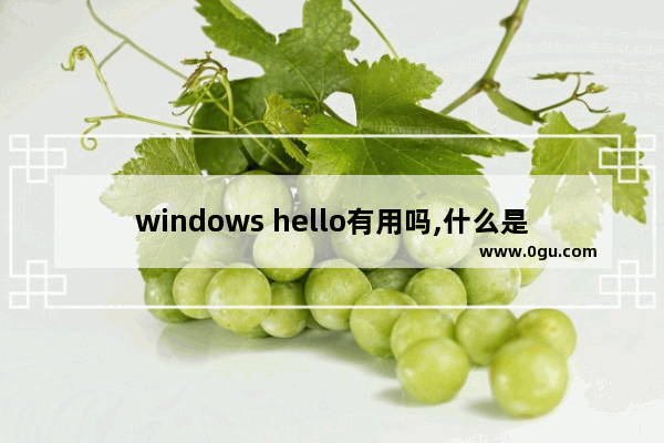 windows hello有用吗,什么是windows hello