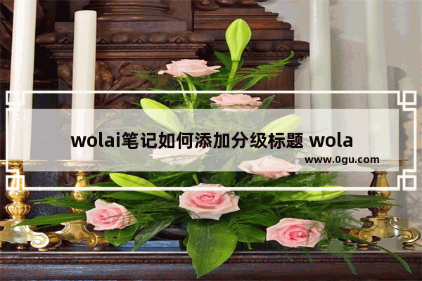 wolai笔记如何添加分级标题 wolai笔记添加分级标题的方法