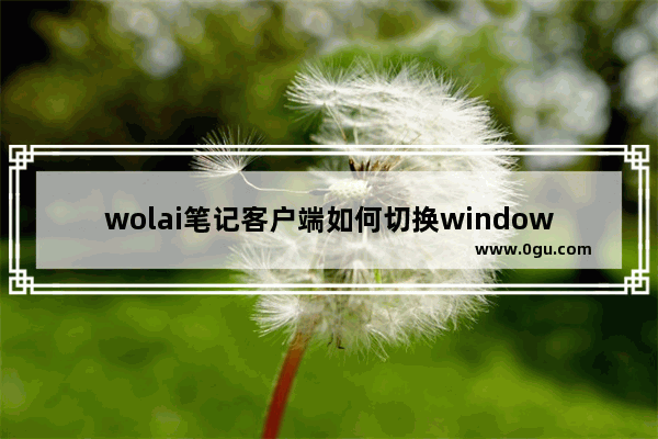 wolai笔记客户端如何切换windows风格 wolai笔记客户端切换windows风格的方法