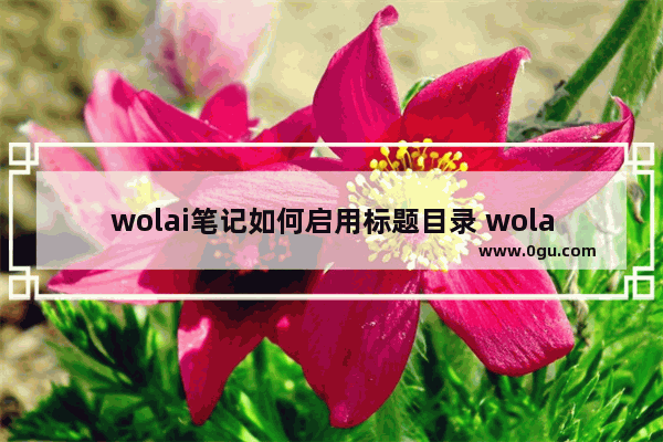 wolai笔记如何启用标题目录 wolai笔记启用标题目录的方法