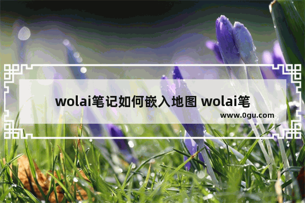 wolai笔记如何嵌入地图 wolai笔记嵌入地图的方法