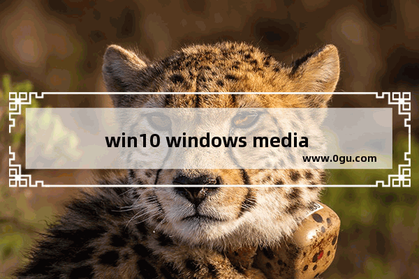 win10 windows media player无法打开,windows media player找不到