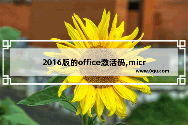 2016版的office激活码,microsoft office 2013激活码