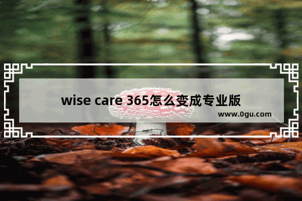 wise care 365怎么变成专业版,wisecare365永久激活 1