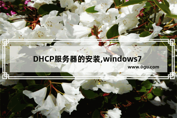 DHCP服务器的安装,windows7 搭建dhcp服务器