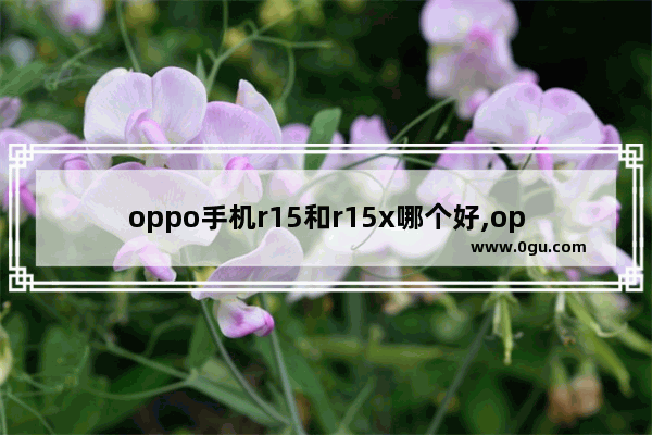 oppo手机r15和r15x哪个好,oppo r15和oppo r15x有什么区别