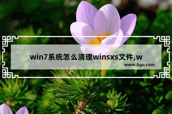 win7系统怎么清理winsxs文件,win10的winsxs文件清理