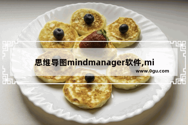 思维导图mindmanager软件,mind思维导图使用教程