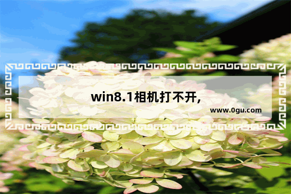 win8.1相机打不开,