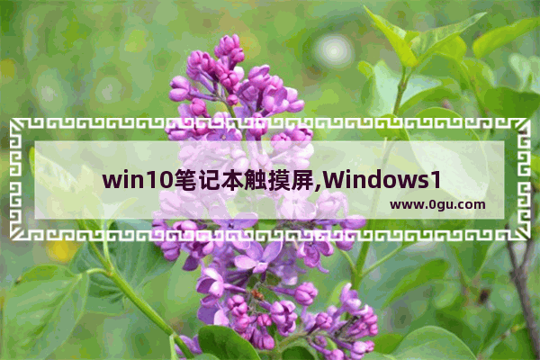 win10笔记本触摸屏,Windows10触摸板