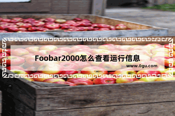 Foobar2000怎么查看运行信息