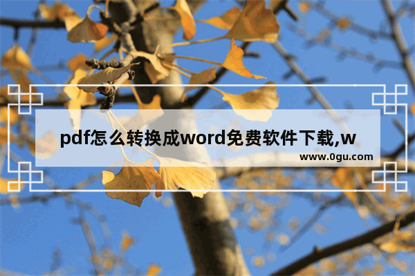 pdf怎么转换成word免费软件下载,word转pdf转换器