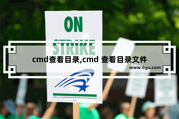 cmd查看目录,cmd 查看目录文件