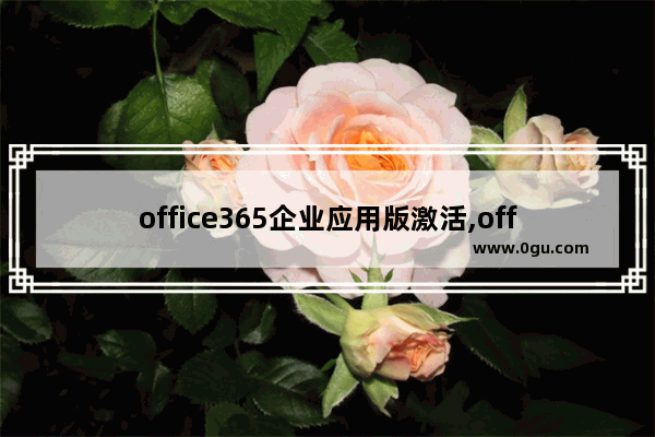 office365企业应用版激活,office365企业版激活码