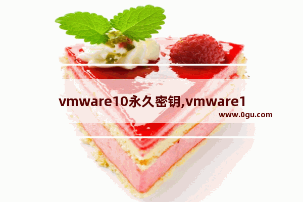 vmware10永久密钥,vmware15密钥