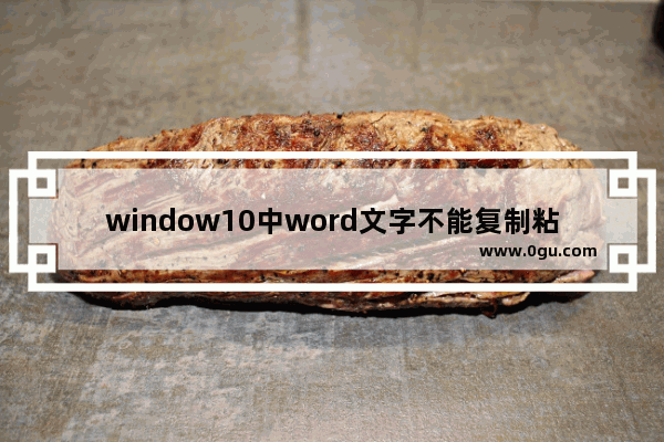 window10中word文字不能复制粘贴,网页版无法复制文字