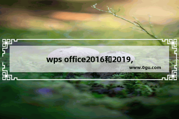 wps office2016和2019,wps office是2016还是2019好