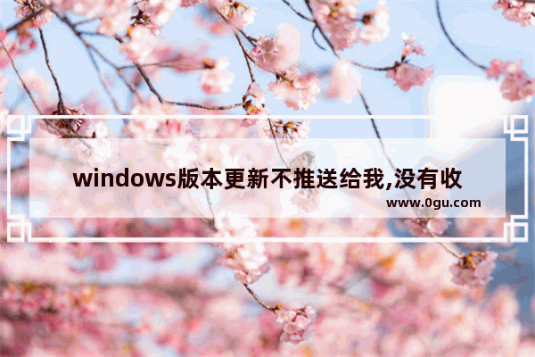 windows版本更新不推送给我,没有收到windows11更新推送