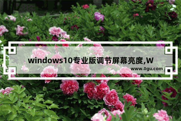 windows10专业版调节屏幕亮度,WIN10屏幕亮度调节