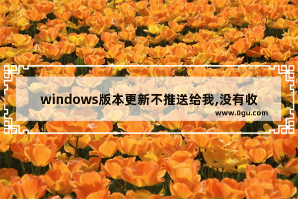 windows版本更新不推送给我,没有收到windows11更新推送